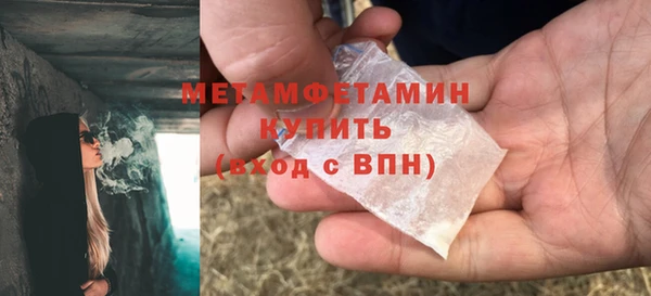 прущие грибы Карпинск