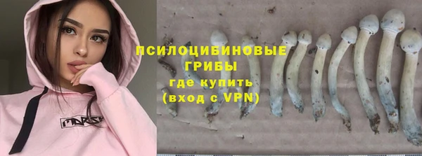 прущие грибы Карпинск