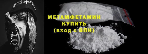 прущие грибы Карпинск