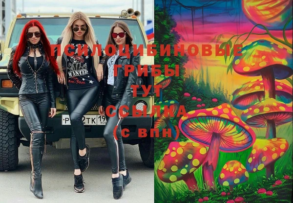 прущие грибы Карпинск