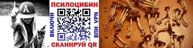 Галлюциногенные грибы MAGIC MUSHROOMS  Купить  Губаха 