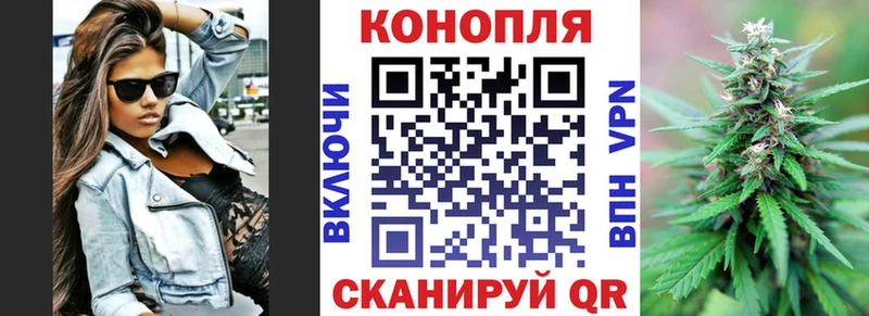 Марихуана OG Kush Губаха
